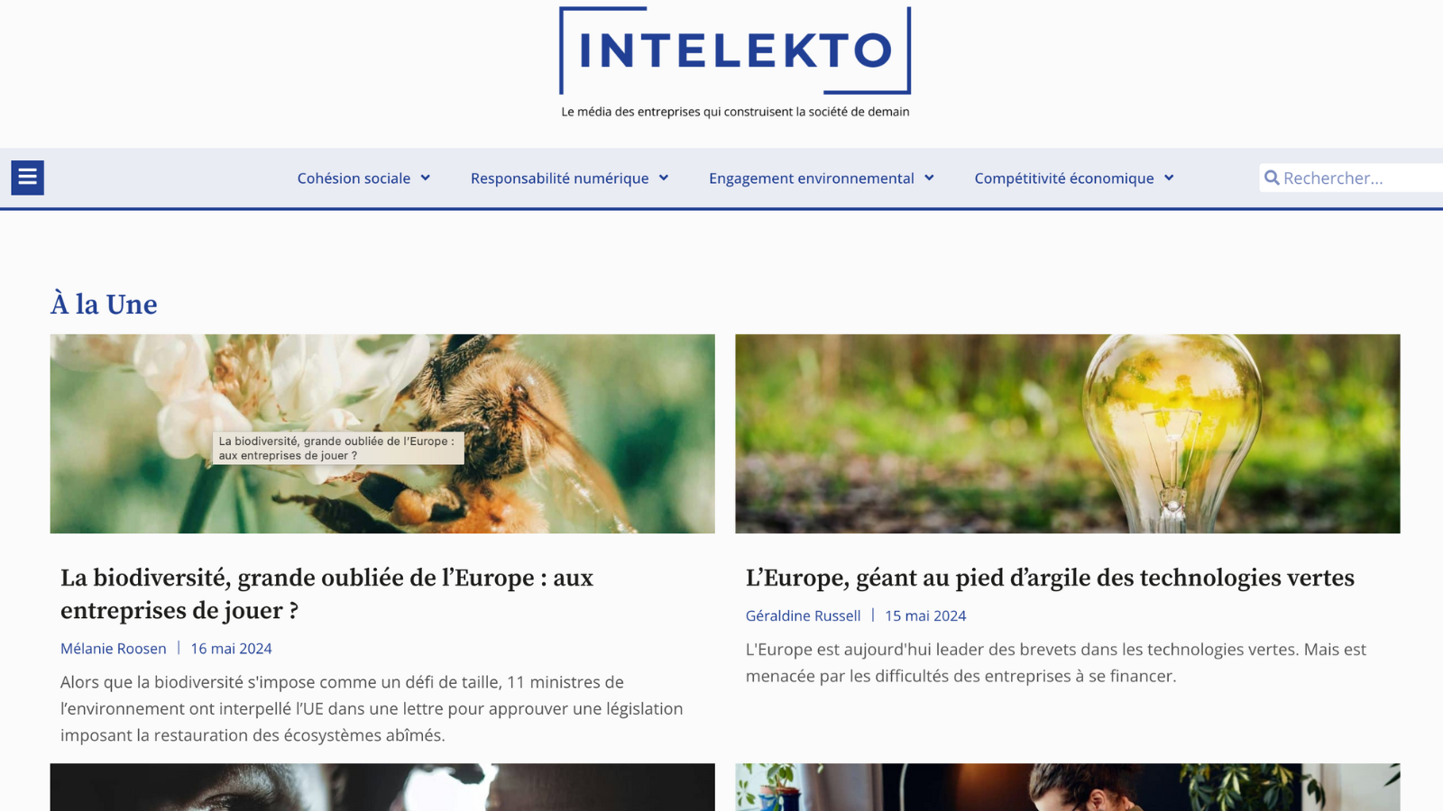 Le média Intelekto prend fin