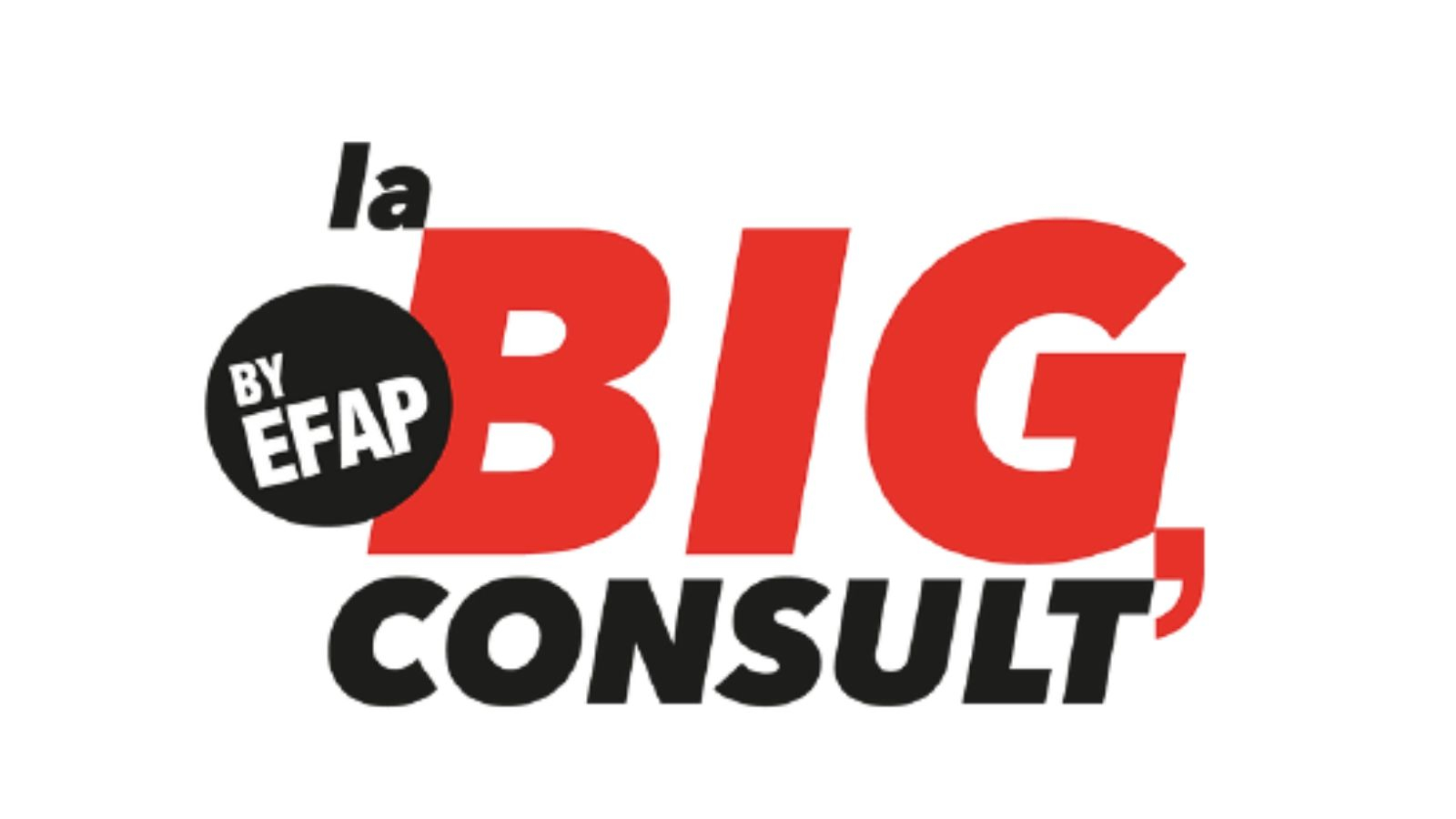 L'EFAP Lyon lance la « Big Consult’ »