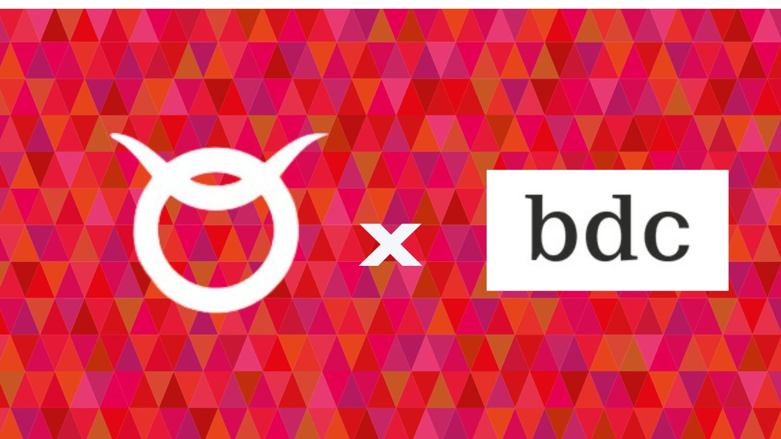BDC Conseil rejoint le Groupe Rouge Vif