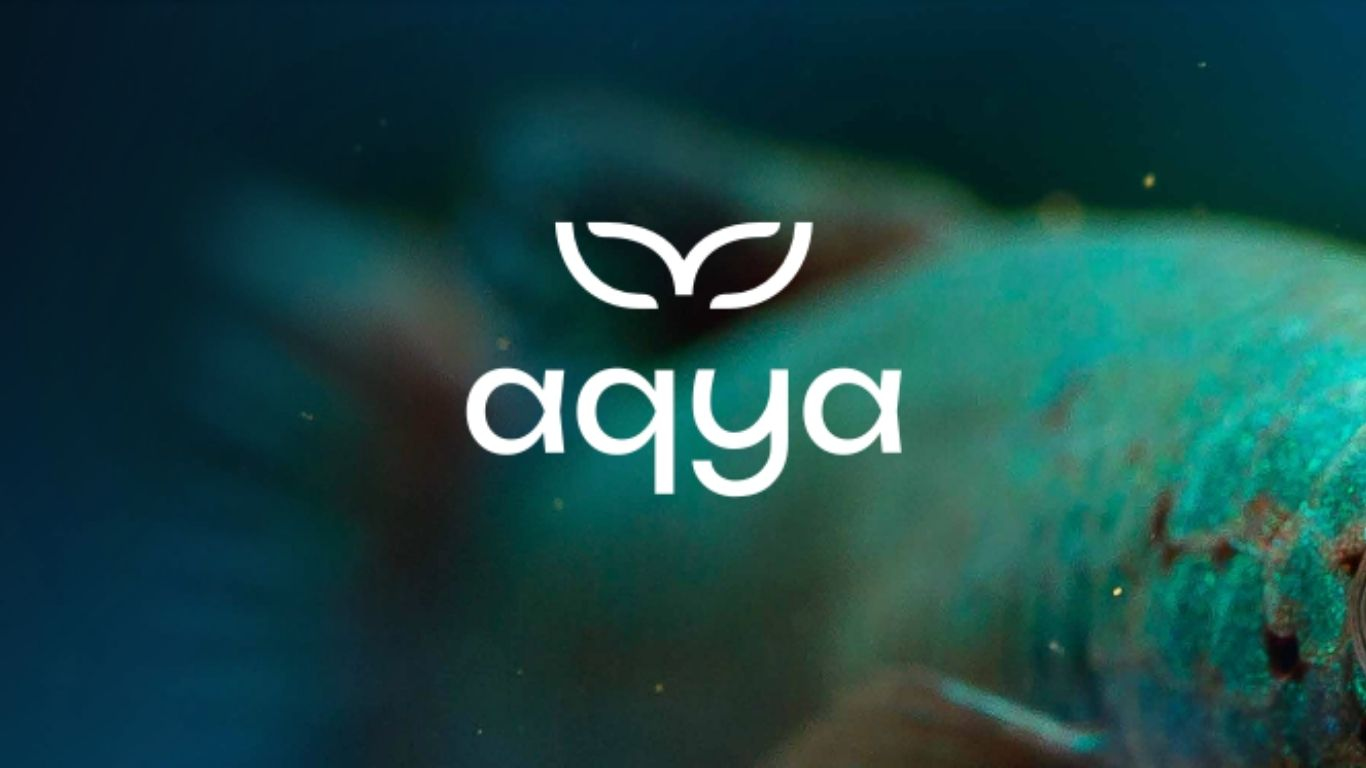 Aqya se lance à l'eau avec Oozbo