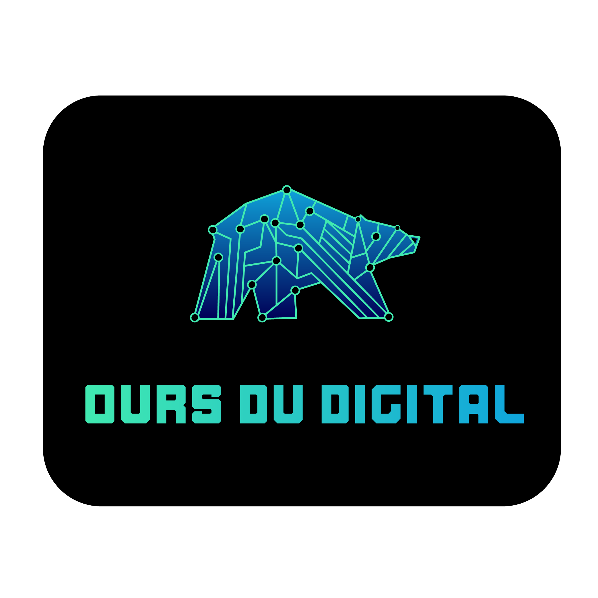 OURS du digital - 1ère édition