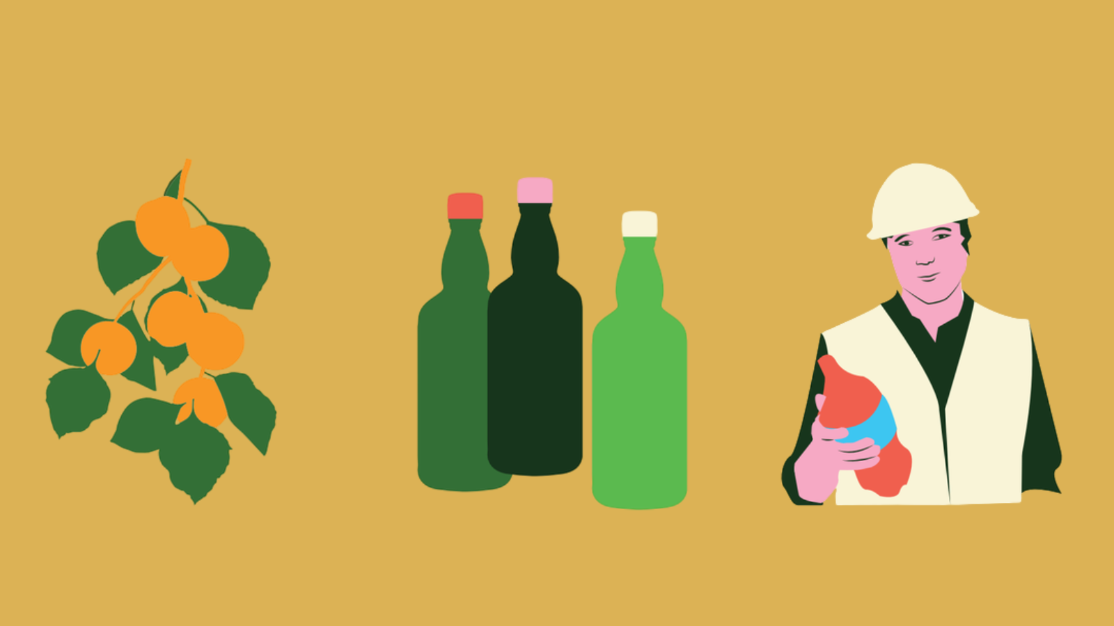 [En chiffres] Les boissons sans alcool offrent leur tournée