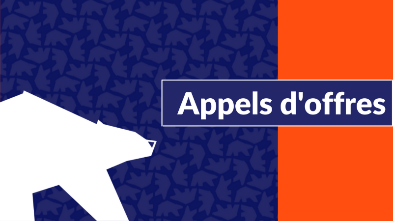 Deux marchés mis en jeu pour des publications territoriales