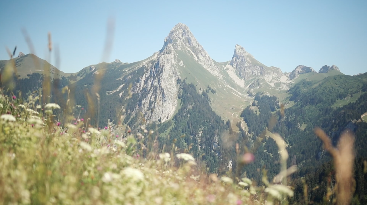 La montagne fait le plein grâce aux touristes français