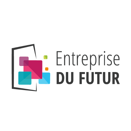 Entreprise DU FUTUR