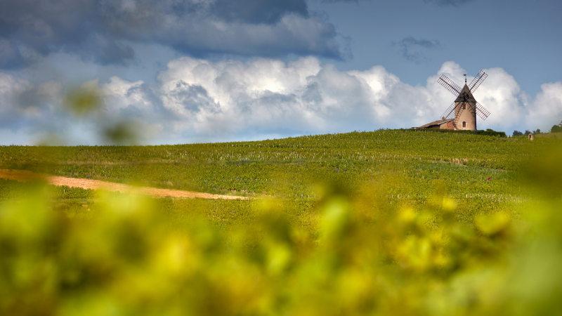 L’agence Rouge Granit collabore avec les Domaines Labruyère