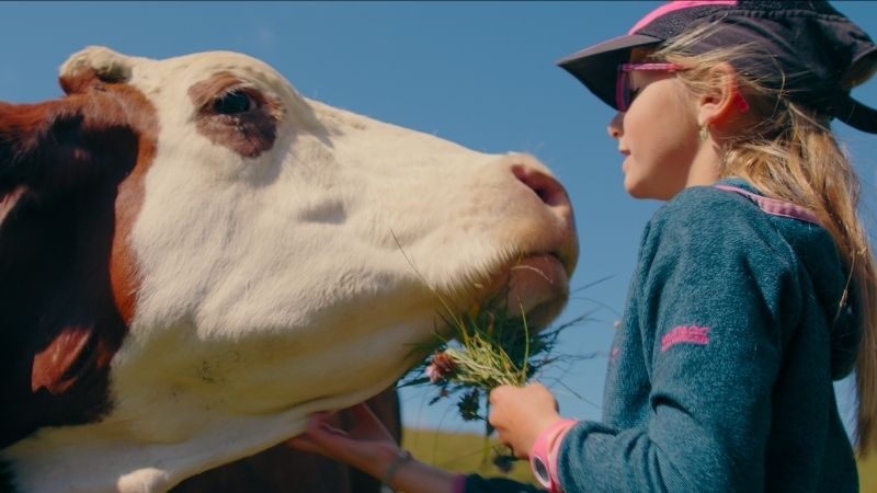 « Le Beaufort en héritage&nbsp;» : le Beaufort se raconte dans un film