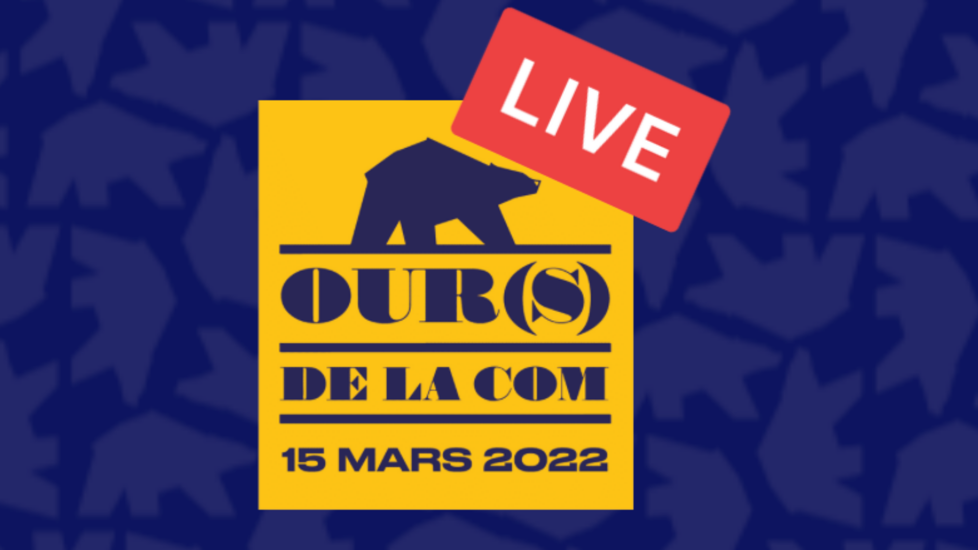 Les OURS de la com, le live&nbsp;: on répond à vos questions&nbsp;!