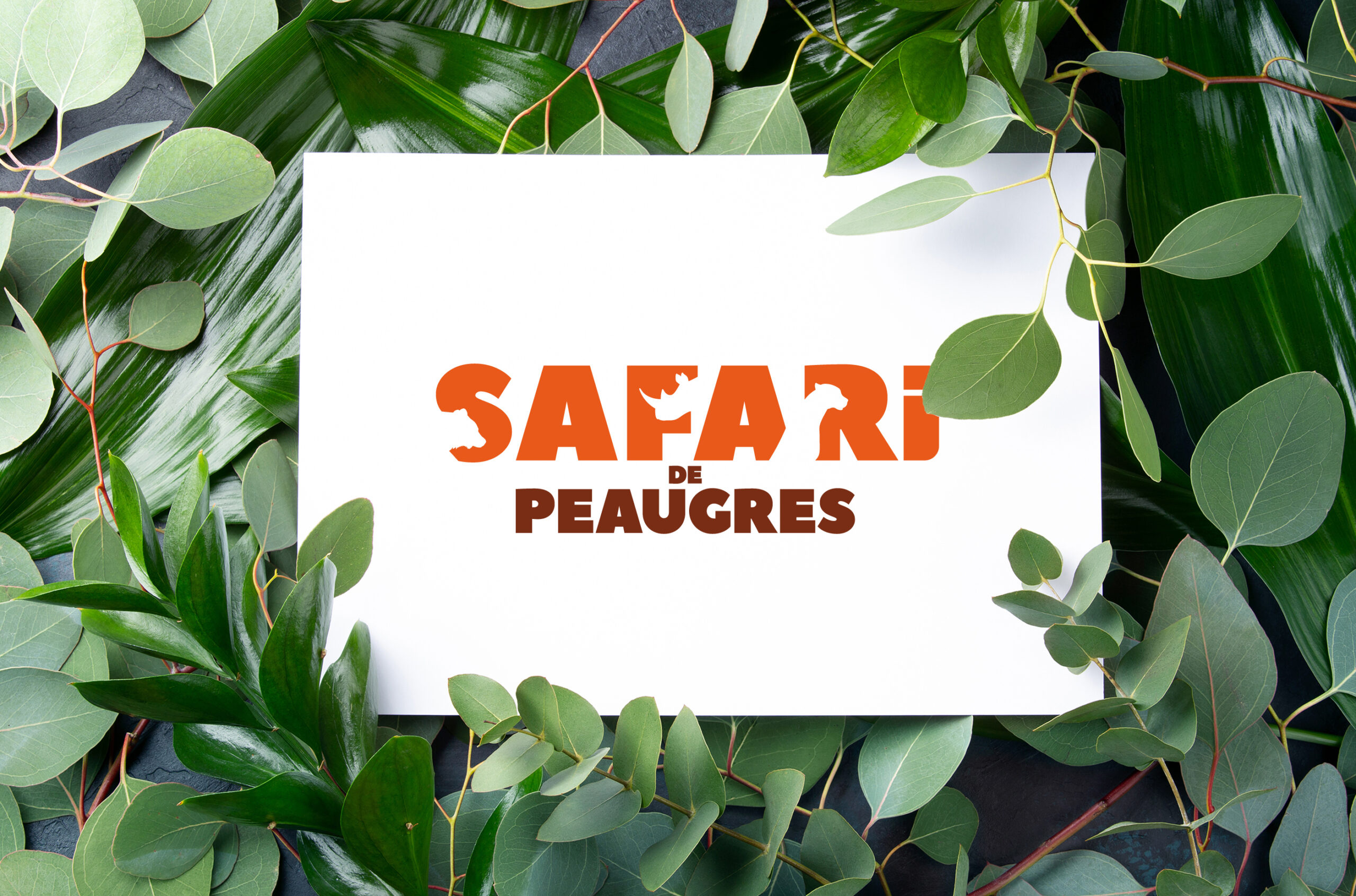 Le Safari de Peaugres adopte une nouvelle identité visuelle