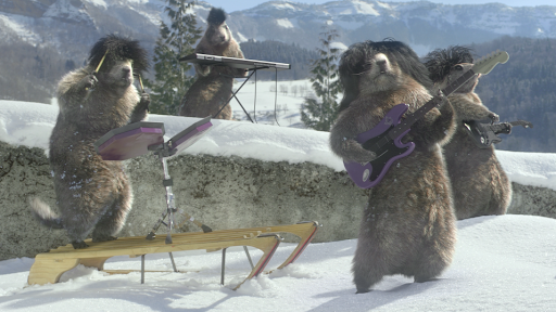 Les marmottes de France 3 passionnent les internautes américains