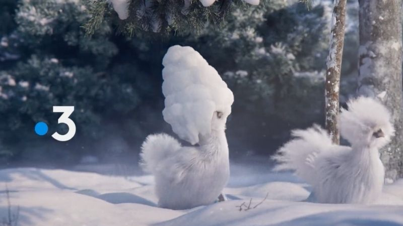 Les marmottes de France 3 trouvent leurs remplaçantes