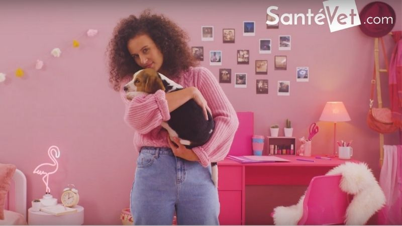 SantéVet reprend la parole en télévision