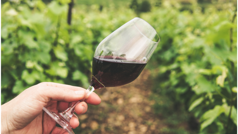 L'appellation Côtes-du-Rhône détrône les vins de Bordeaux en grande distribution