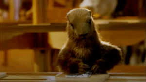 Ces pubs qui vous ont marqués&nbsp;: « Et, la marmotte elle met le chocolat dans le papier d’alu&nbsp;» pour Milka