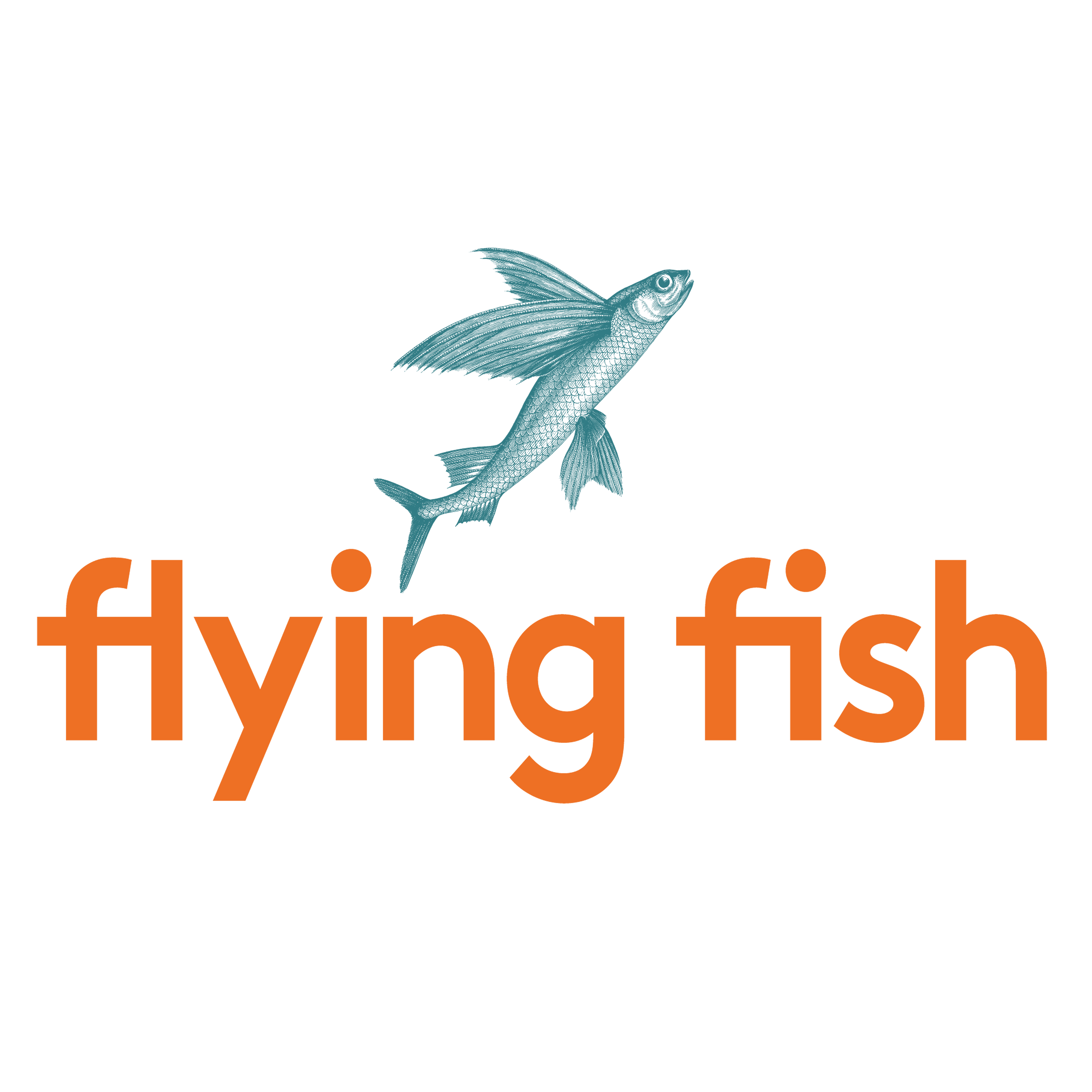 icon-flying-fish