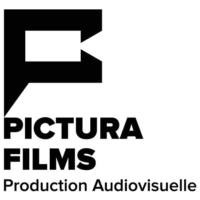 icon-pictura-films