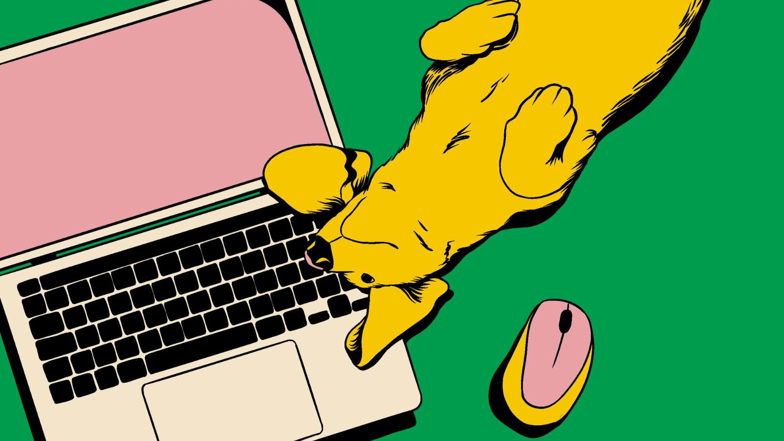 Pet at work, des bureaux qui ont du chien
