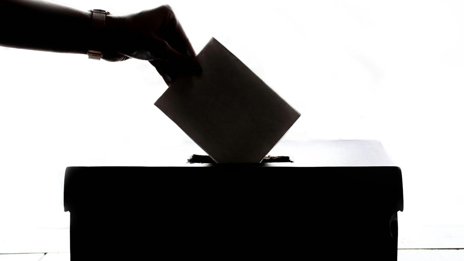 Période électorale : l'art du « bon timing » sur les réseaux sociaux