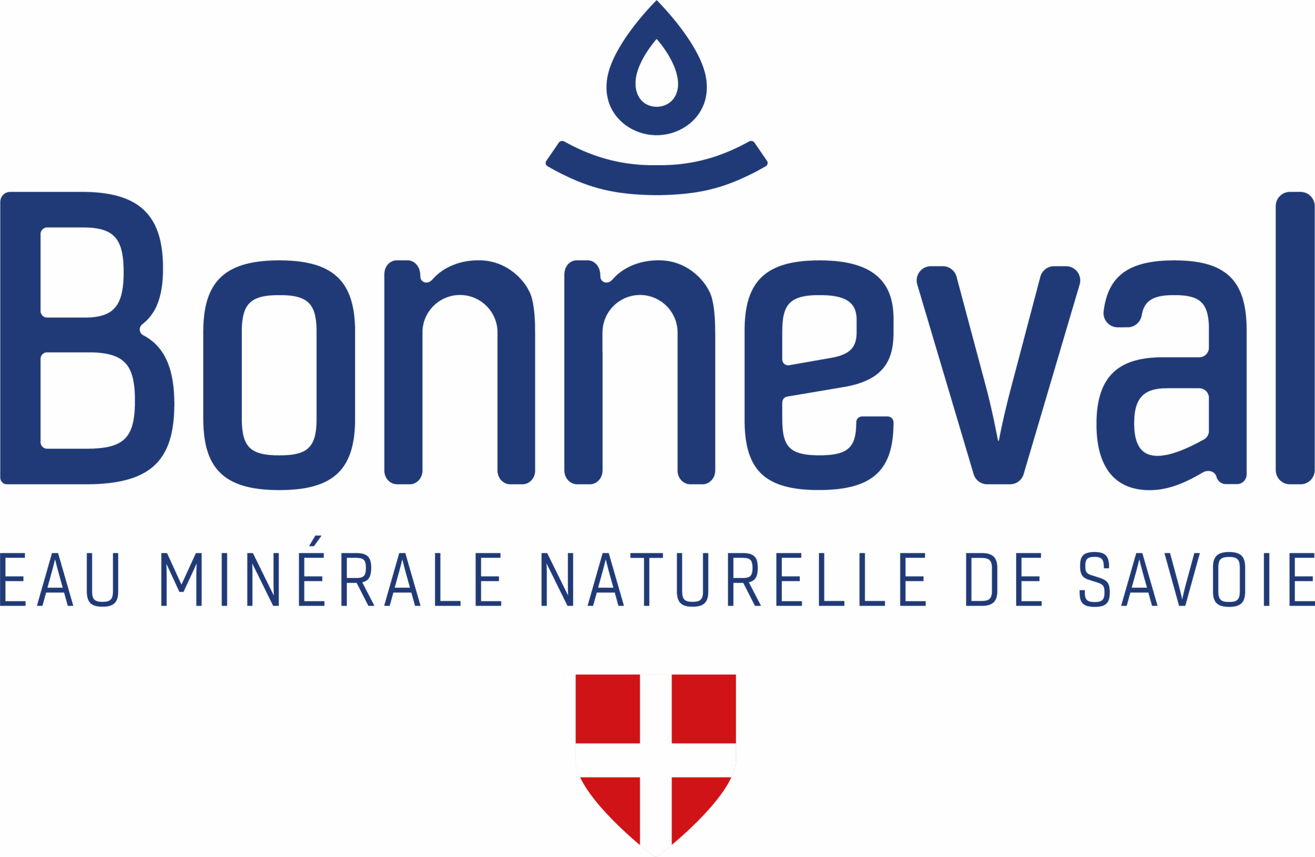 partner-image