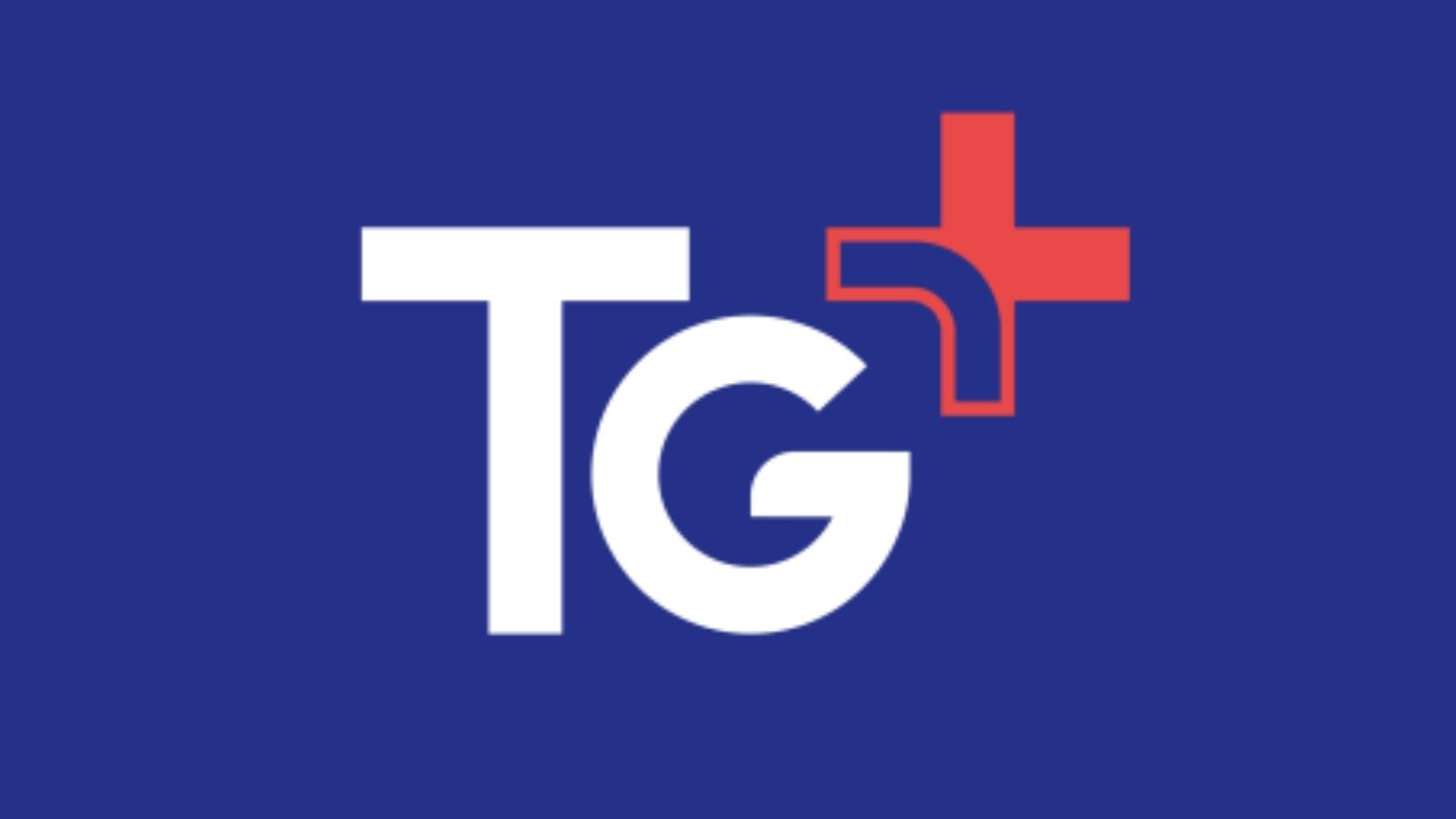 TG+ (ex TéléGrenoble) repris par Mountain Next